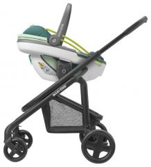 Coral 360 Neo Green