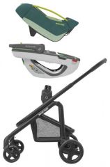 Coral 360 Neo Green