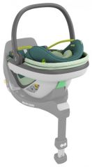 Coral 360 Neo Green