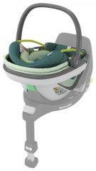 Coral 360 Neo Green