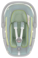 Coral 360 Neo Green