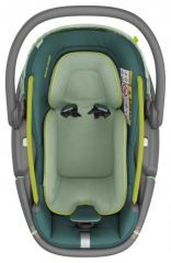 Coral 360 Neo Green