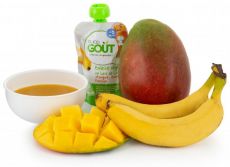 BIO Kokosový dezert s mangem, banánem a marakujou 90 g